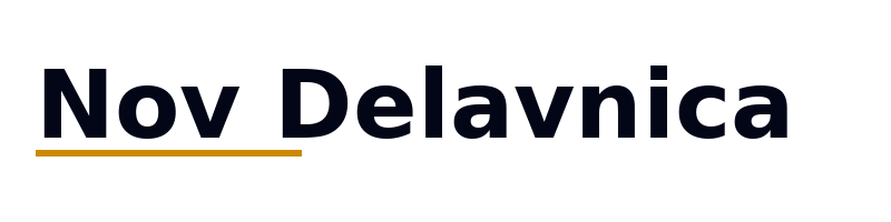 Nov Delavnica logo